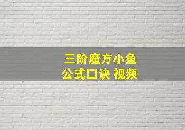 三阶魔方小鱼公式口诀 视频